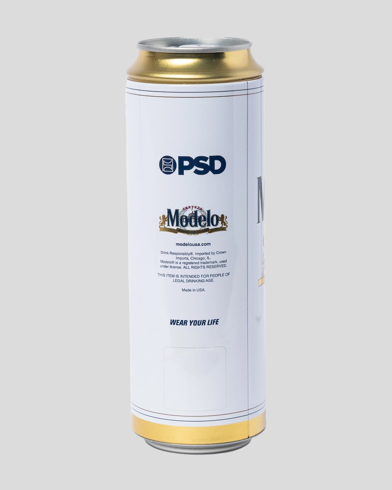 Modelo - Can - Image 8