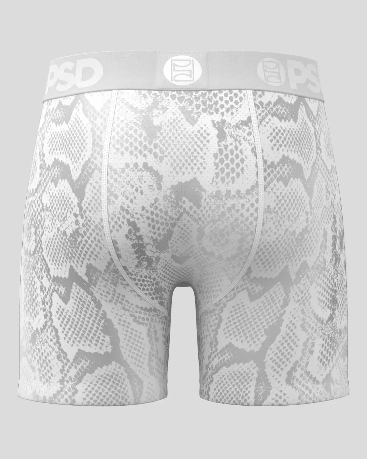 Silver Snake - Image 4